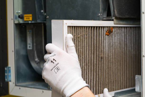 Best Affordable Air Duct Cleaning  in Trevorton, PA
